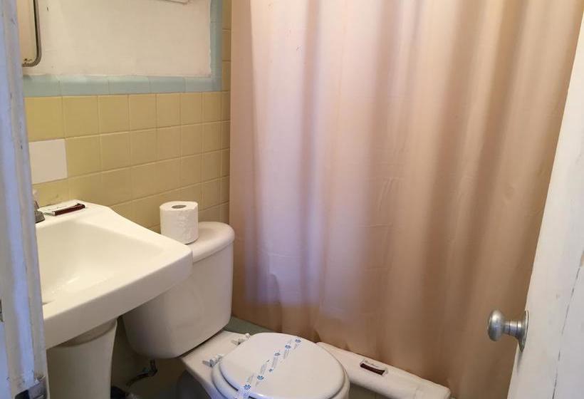 فندق Dolphin Harbor Inn