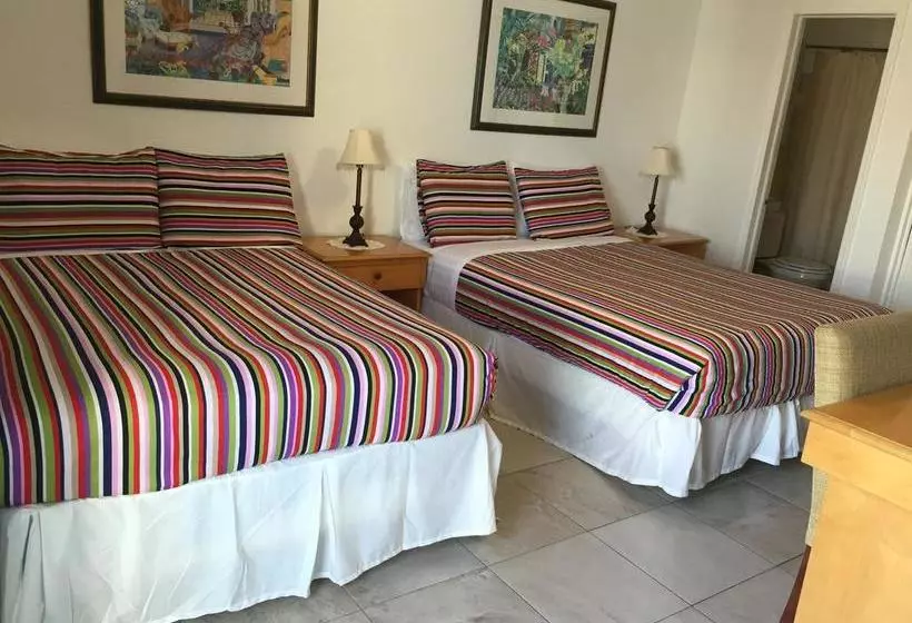 ホテル Dolphin Harbor Inn