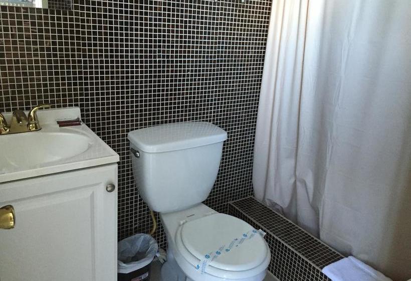 فندق Dolphin Harbor Inn