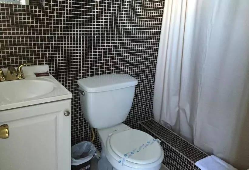 ホテル Dolphin Harbor Inn