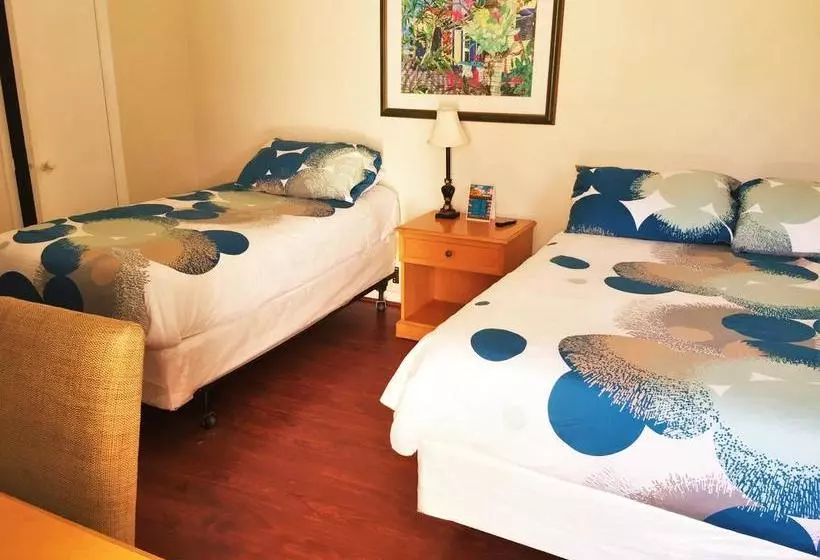 ホテル Dolphin Harbor Inn