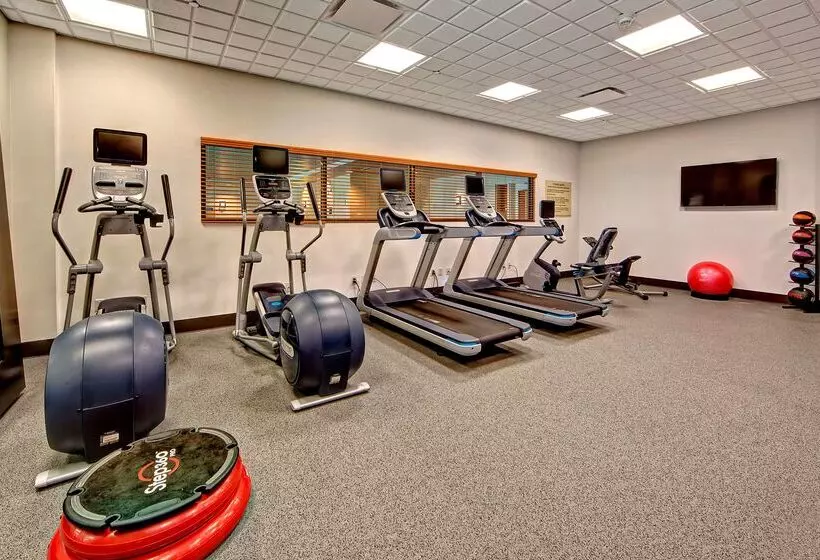 בית מלון כפרי Hilton Garden Inn Memphis/wolfchase Galleria