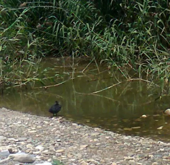 호텔 Karin & Nikos