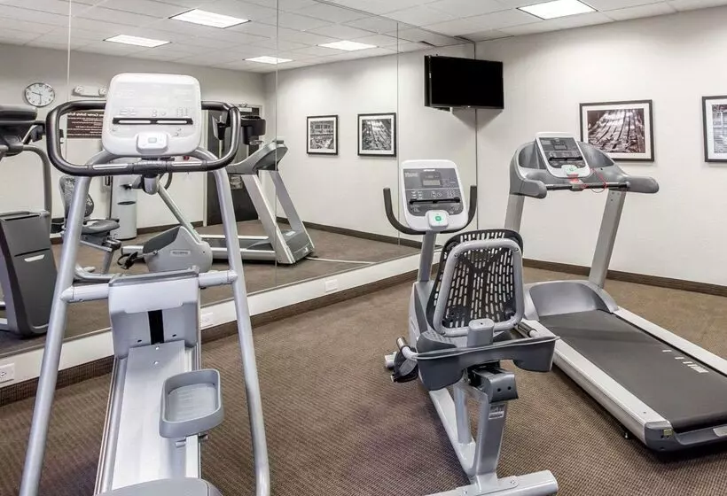 فندق Mainstay Suites Cartersville