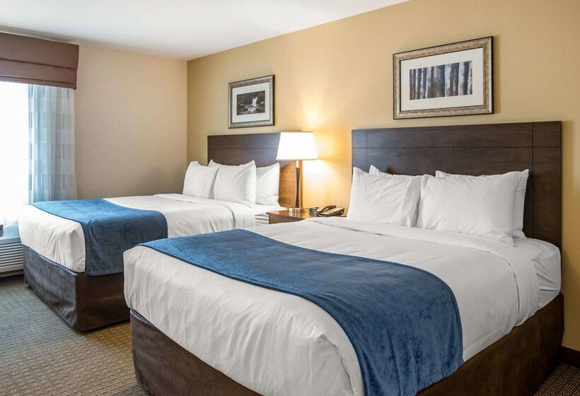 בית מלון כפרי Mainstay Suites Cartersville