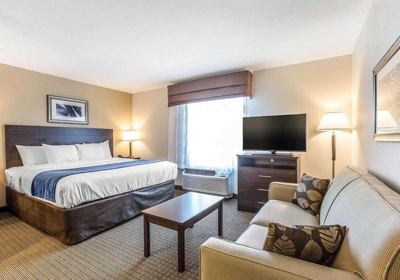 בית מלון כפרי Mainstay Suites Cartersville