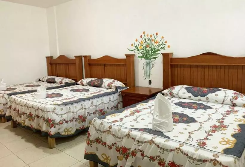 בית מלון כפרי Quinta De La Rosa