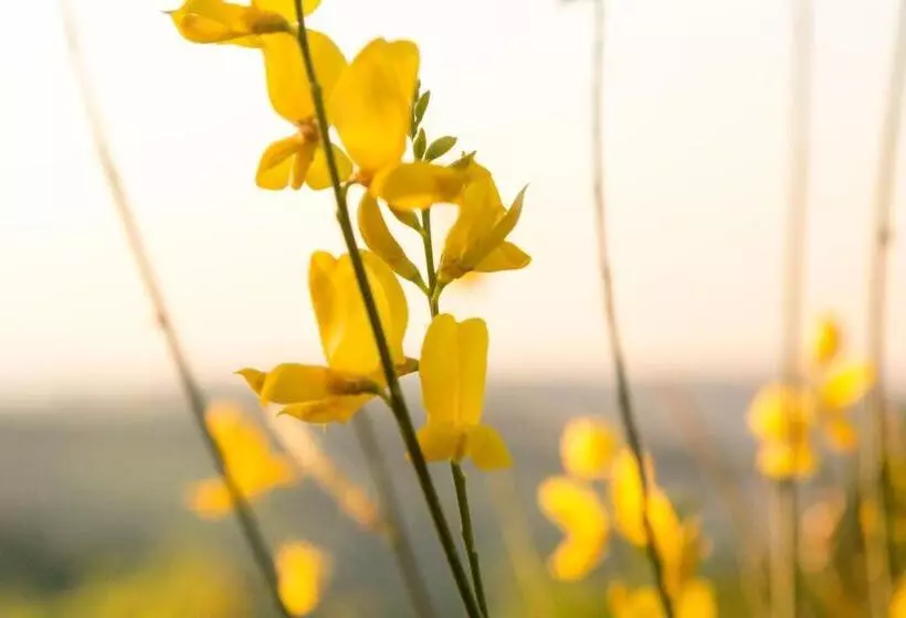 هتل روستایی Colleverde Country House & Spa Urbino