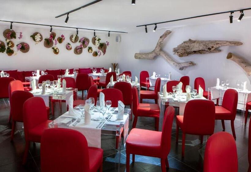 هتل Viva V Samana By Wyndham, A Trademark Adults All Inclusive