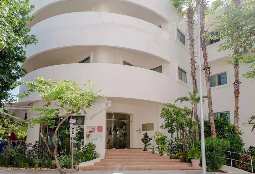 Palmar Del Sol Condominium By Chezplaya