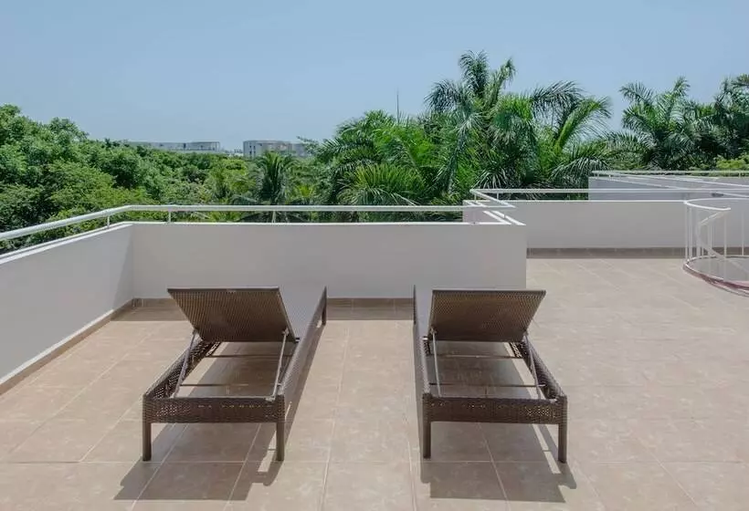 Palmar Del Sol Condominium By Chezplaya