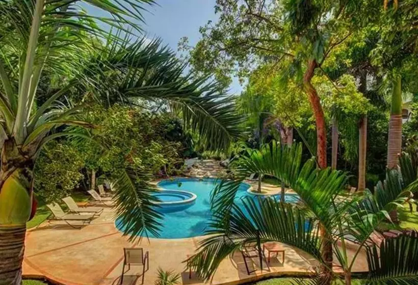 Palmar Del Sol Condominium By Chezplaya