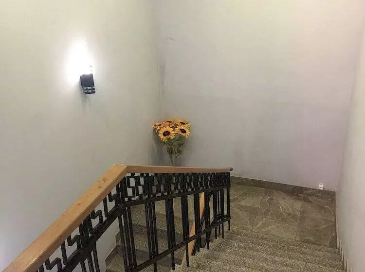 هتل Javakhishvili