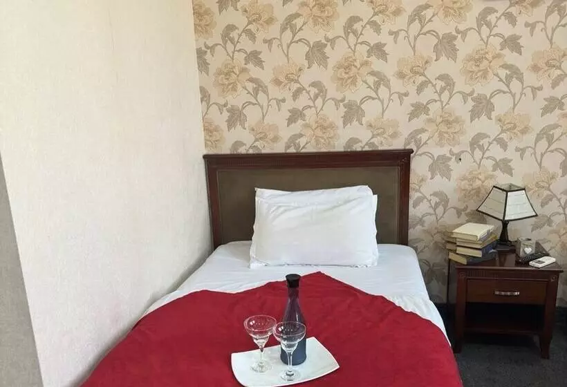 هتل Javakhishvili