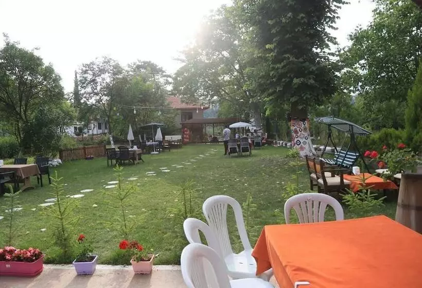 ホテル Mehmet Efendi̇