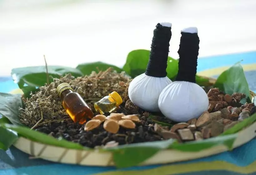 پانسیون Eldezo Relax Paradise  Ltd