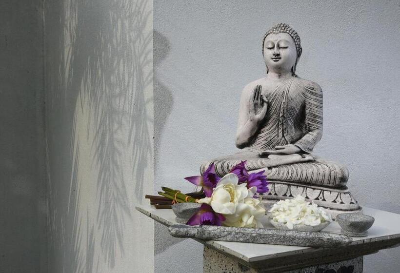 פנסיון Eldezo Relax Paradise  Ltd