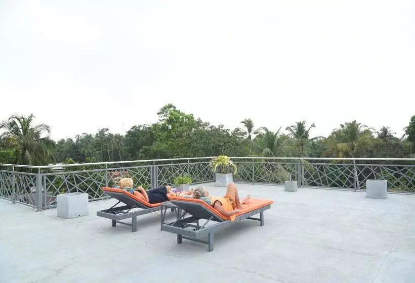 پانسیون Eldezo Relax Paradise  Ltd