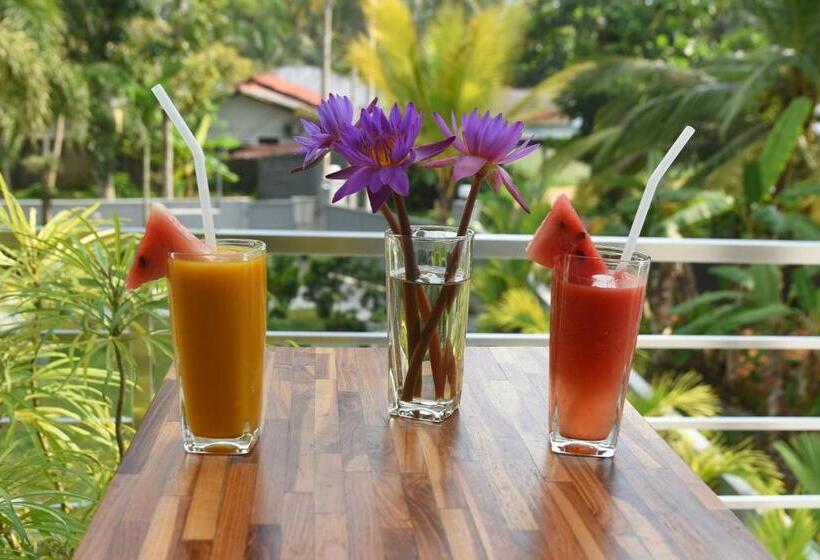 פנסיון Eldezo Relax Paradise  Ltd