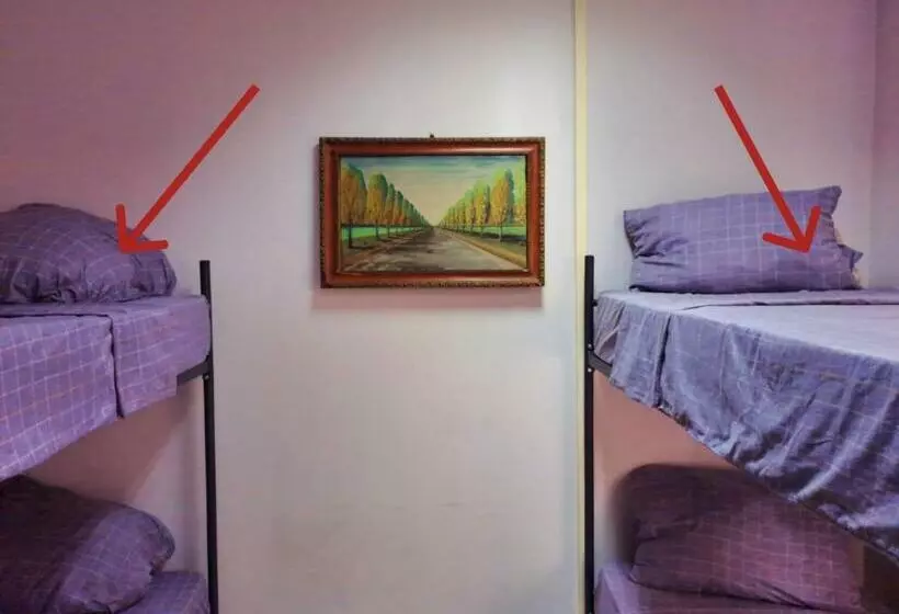 Fox Park Hostel