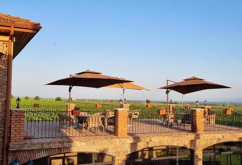 هتل Château Davitiani