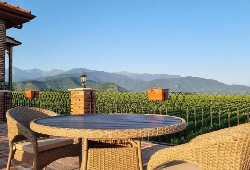 هتل Château Davitiani