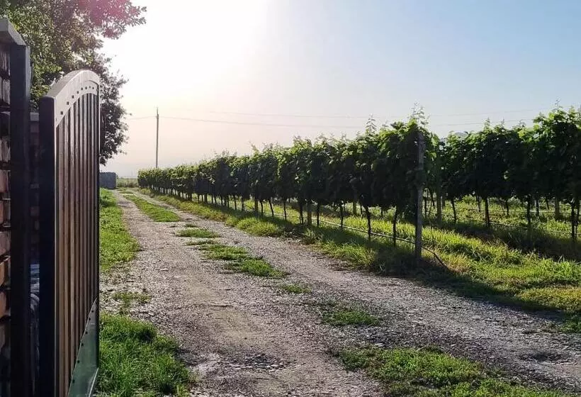 هتل Château Davitiani