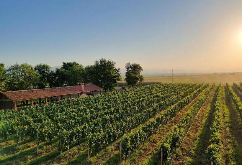 هتل Château Davitiani