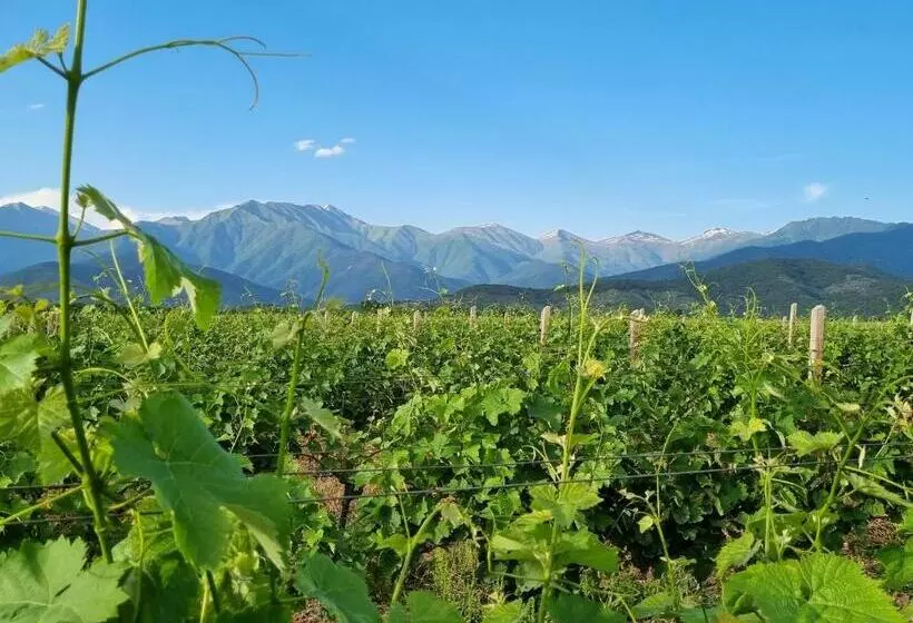 هتل Château Davitiani