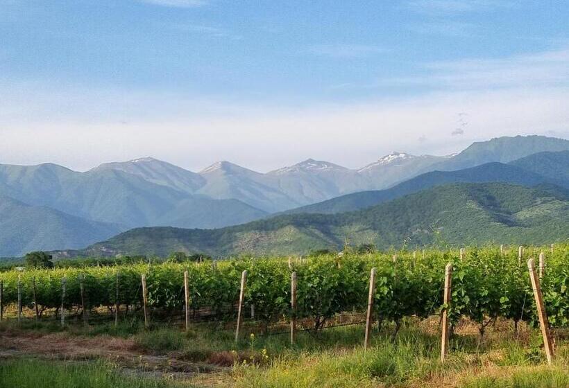 هتل Château Davitiani