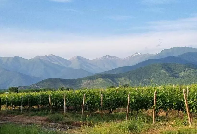 هتل Château Davitiani