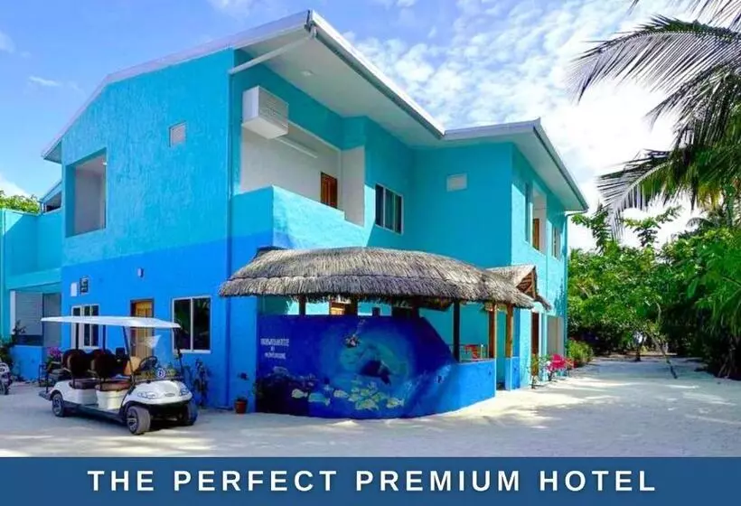 Island Luxury Dive Hotel   Fulhadhoo