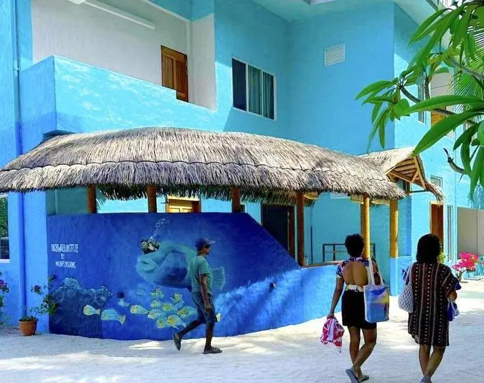 Island Luxury Dive Hotel   Fulhadhoo