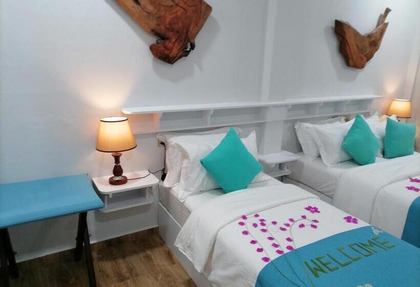 Island Luxury Dive Hotel   Fulhadhoo