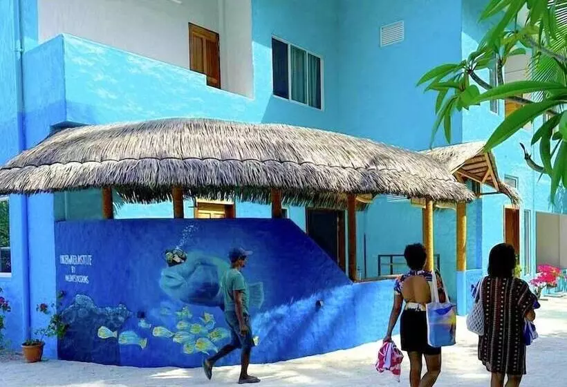 Island Luxury Dive Hotel   Fulhadhoo