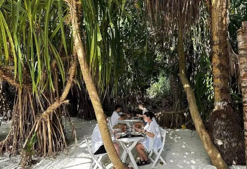 Island Luxury Dive Hotel   Fulhadhoo