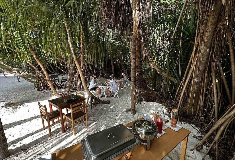 Island Luxury Dive Hotel   Fulhadhoo