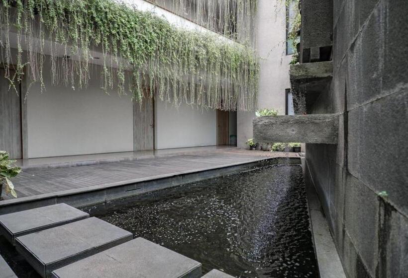 פנסיון 3j Living