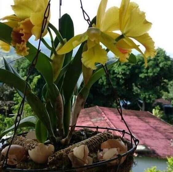 Herberge Sede Campestre Peña Negra