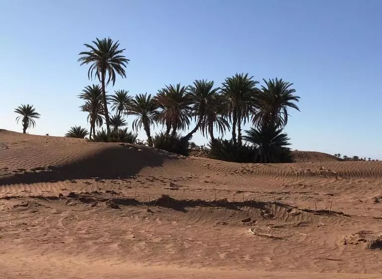 Aamiaismajoitus (B&B) Kasbah Mashallah