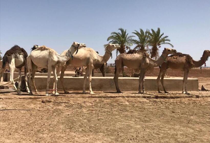 Bed and Breakfast Kasbah Mashallah