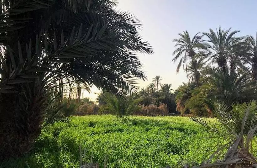 Aamiaismajoitus (B&B) Kasbah Mashallah