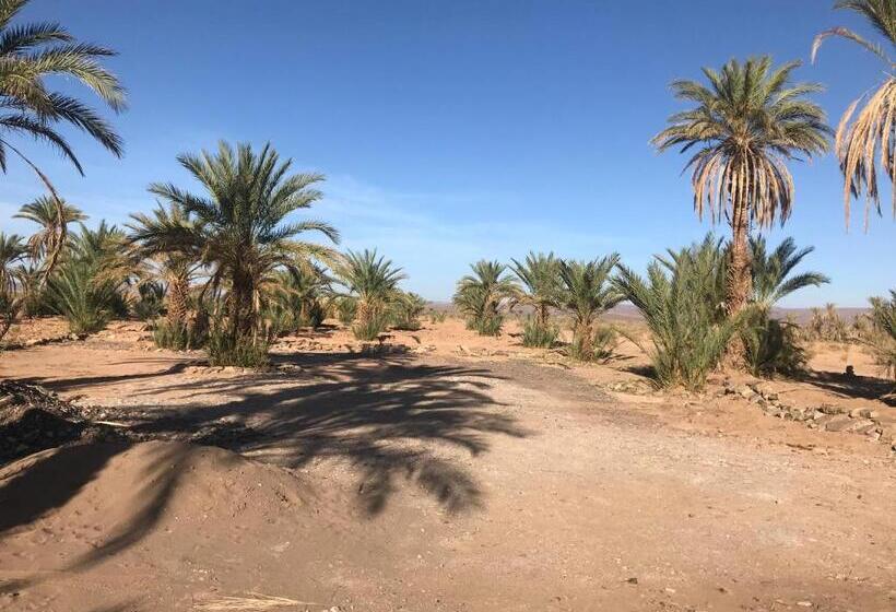 Bed and Breakfast Kasbah Mashallah