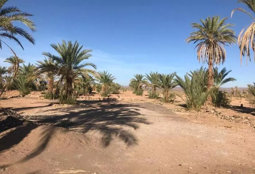 Aamiaismajoitus (B&B) Kasbah Mashallah