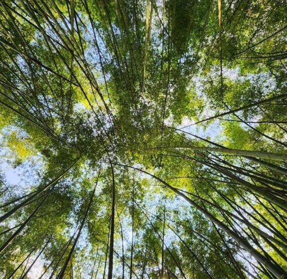 호텔 Cafetero Valparaíso