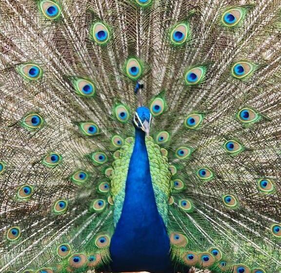 호텔 Cafetero Valparaíso