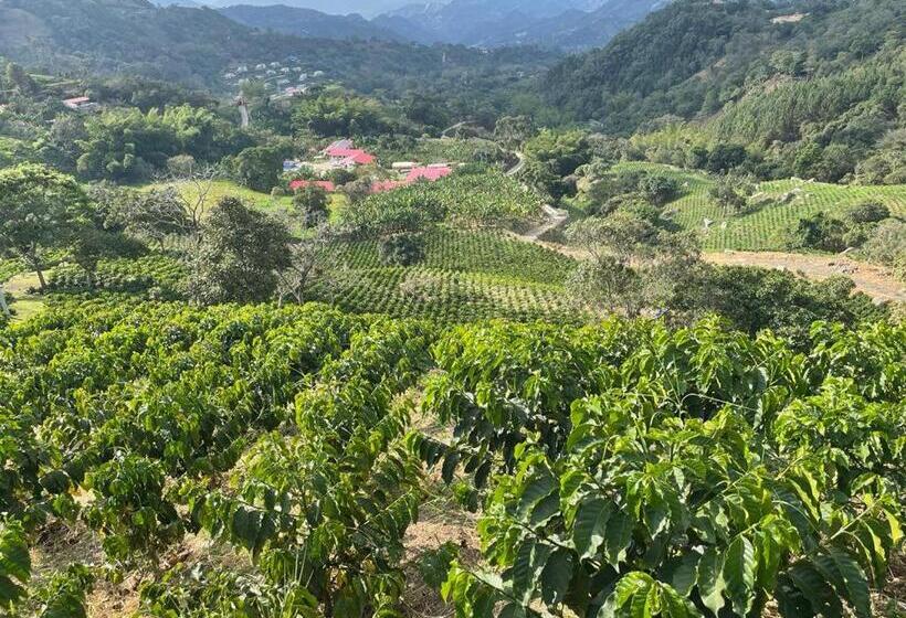 호텔 Cafetero Valparaíso