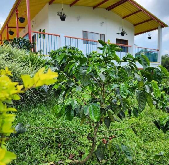 호텔 Cafetero Valparaíso