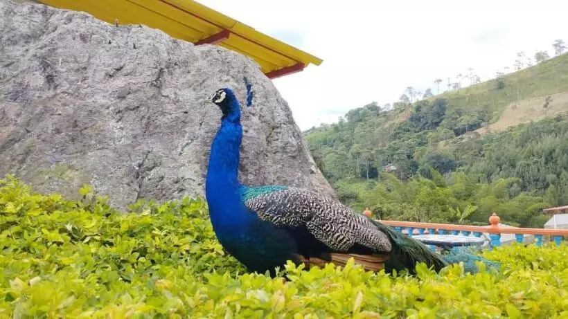 ホテル Cafetero Valparaíso