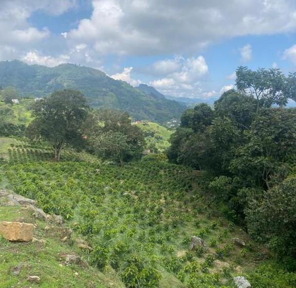 호텔 Cafetero Valparaíso